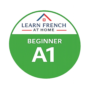 beginner-french-class-group