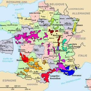 french-class-french-wine